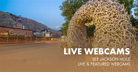 Jackson Hole Live Webcams & Featured Cams